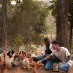 A young couple feeds chickens in a lush woodland farm setting, reflecting rural life.